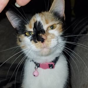 Meet your Posher, Zoe